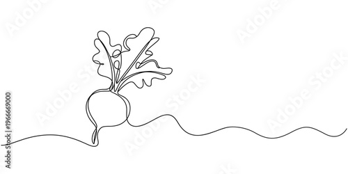 Bild auf Leinwand Vector continuous one single line drawing icon of beetroot with leaf in silhouette on a white background