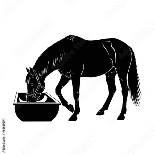 Horse eating from feeder in stable, concept of animal nutrition  