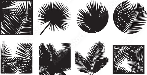 Collection of black palm tree leaves and silhouettes images
