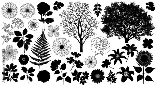 Collection of Black and White Silhouettes of Various Plants and Trees.