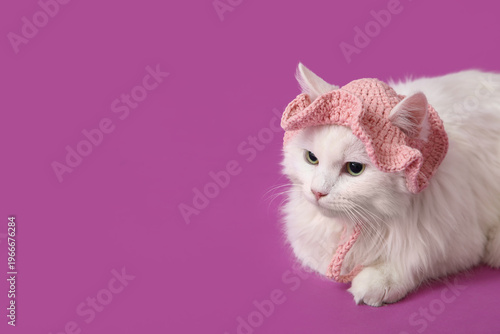 Cute white cat in funny pin...