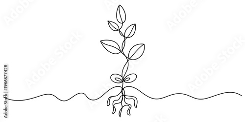 Minimalist continuous line drawing of a small sprouting plant with roots in the dark soil earth Vector, illustration