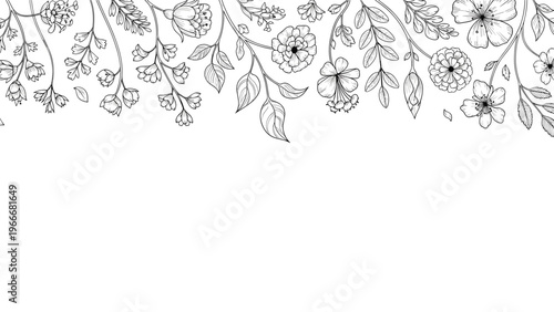 Horizontal top border featuring hand drawn wild flowers and botanical elements in black and white line art.