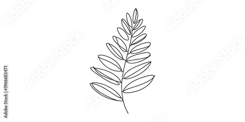 Tableau sur toile Minimalist black line drawing of a pinnate leaf with many small leaflets on a white background