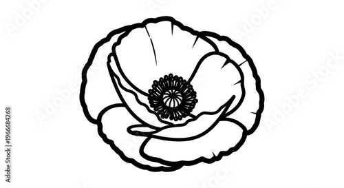 Elegant single line drawing of a poppy flower with delicate petals and a detailed center isolated on a clean white background symbolizing nature's beauty and floral artistry