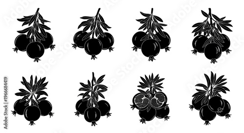 Collection of stylized black and white illustrations of pomegranates on branches with leaves featuring whole fruits and one cut open to reveal seeds isolated on a white background