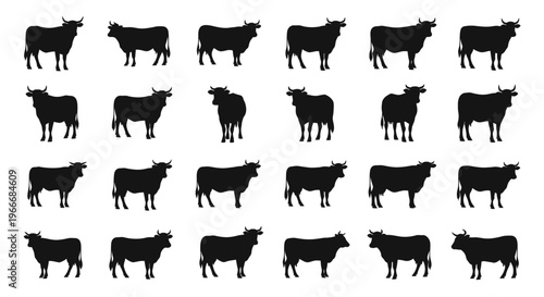 Collection of diverse black cow silhouettes in various poses and breeds isolated on a clean white background representing livestock farming and agricultural concepts