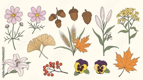 Collection of hand-drawn autumn elements including flowers leaves berries and nuts on a cream background.