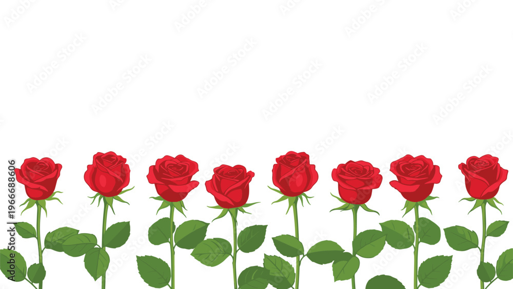 Obraz premium Horizontal row of beautiful red roses with green stems and leaves standing in a line against a clean white background.