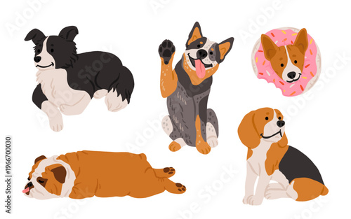 Dog breeds set. Border collie, Australian cattle dog, Basenji, English bulldog, beagle. Cute realistic dogs in different poses. Hand drawn vector illustration
