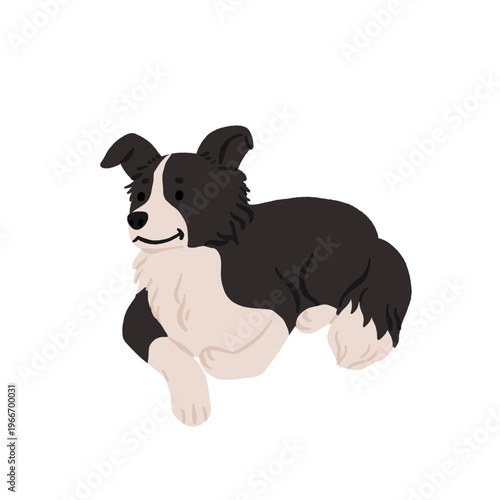 Dog breeds set. Border collie, Australian cattle dog, Basenji, English bulldog, beagle. Cute realistic dogs in different poses. Hand drawn vector illustration