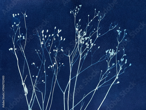 Winter field grass created in cyanotype technique