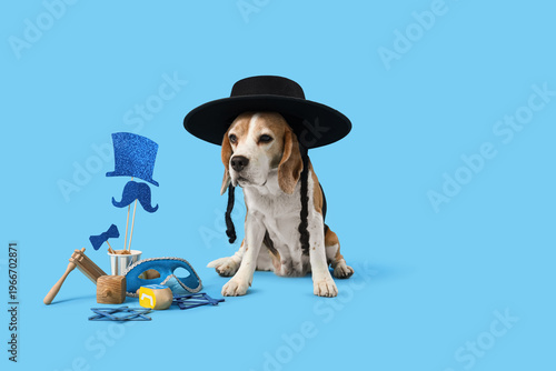 Cute Beagle dog in Jewish h...