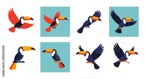 Four toucans in various poses a vibrant design on transparent background silhouette