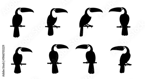 Collection of toucan silhouettes perched on branches on transparent background