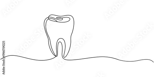 Human molar tooth cross section continuous one line drawing, Detailed continuous line drawing showing a cross section of a human tooth with roots and internal structures, Cross section of a human toot