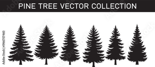 Black pine tree vector collection, evergreen spruce and fir silhouette set, nature forest timber design elements for outdoor landscape illustration graphic projects,
