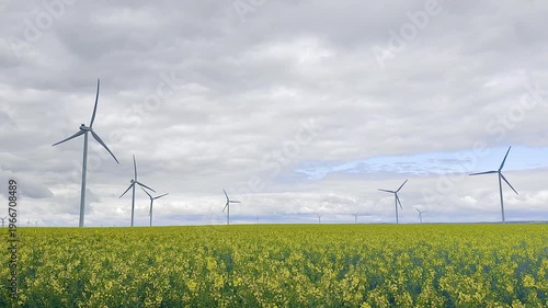 Rear perspective of turbines oriented into the wind across a bright yellow rapeseed field, forming rhythmic lines under a shifting sky and shaping the agricultural energy landscape