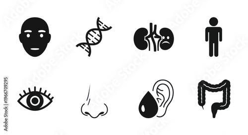Human Anatomy Icons Set: Body Parts, DNA, Organs, Senses, Medical Health