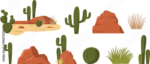 Desert Cactus Vector Collection Illustration