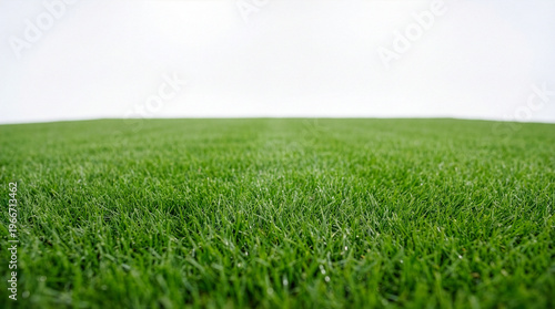 Low Angle Infinite Green Manicured Field Background 