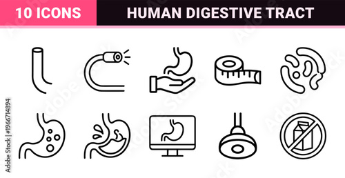 Human Digestive System and Gastroenterology Minimalist Geometric Line Art Icon Set for Medical Education and Healthcare App Interfaces