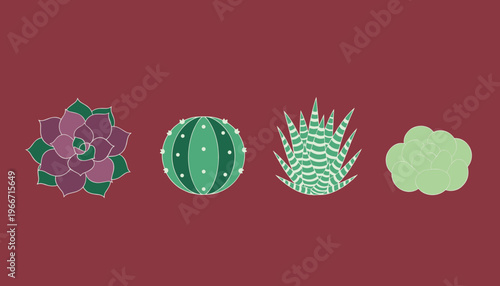 Succulent Plants and Cactus Collection with Various Shapes and Colors Isolated on Maroon Background for Home Gardening and Desert Botany Concept Vector