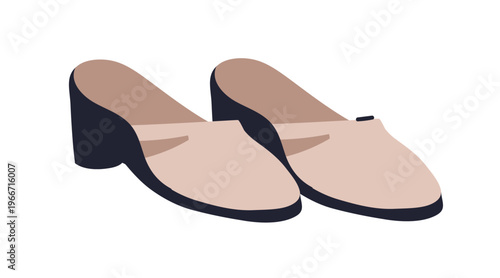 Mules, women shoes pair. Elegant fashion footwear in trendy style. Modern casual summer foot wear with round cape, open back and block heel. Flat vector illustration isolated on white background