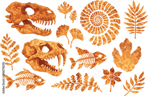 Prehistoric ammonite shell, dinosaur skull, ancient leaves imprints set . Dinosaur and prehistoric period collection of icons in monochrome style. ... 
