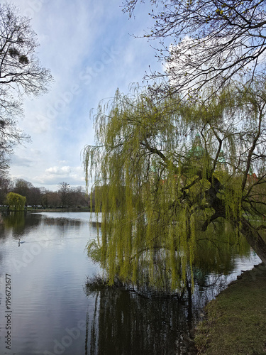 Idyllic countryside with calm waters and softly weeping trees Maschpark Hanover