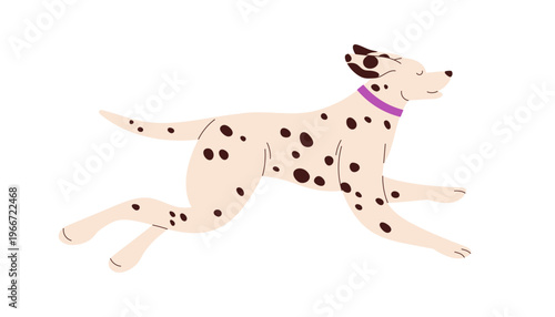 Dalmatian dog running, side view, profile. Canine breed with spotted fur pattern. Cute doggy in motion, running fast. Purebred animal in collar. Flat vector illustration isolated on white background