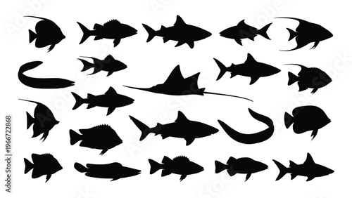A collection of various fish species are depicted in stark black silhouettes against a white background silhouette high quality professional detailed
