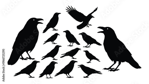 A collection of black ravens depicted in various poses against a white background showcasing a striking silhouette high quality professional detailed