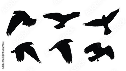 A collection of six black bird shapes in various flight poses against a white background a striking silhouette high quality professional