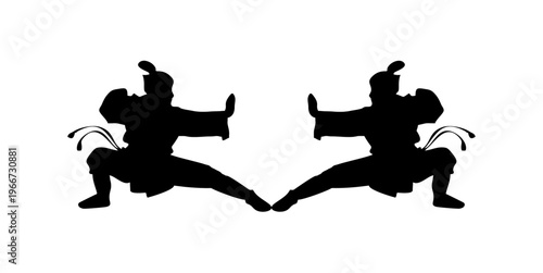 silhouette of a kung fu fighter