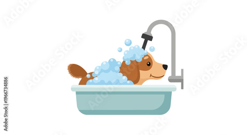 Corgi Dog Taking a Bath.