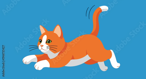 Orange cat running fast outside now.