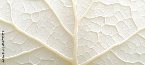 Delicate White Leaf Veins Showcased with Intricate Textures Against a Soft Beige Gradient Background