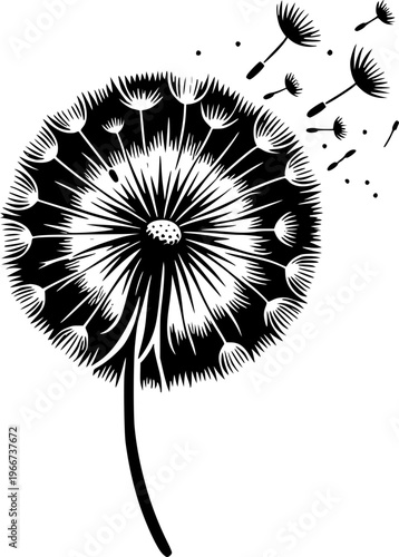 Whispering Wishes: A delicate dandelion seed head, captured in stark black and white, releases its seeds into the breeze, carrying hopes and dreams. 