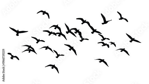 A flock of birds in flight against a white background creating a dynamic and minimalist scene a striking silhouette high quality