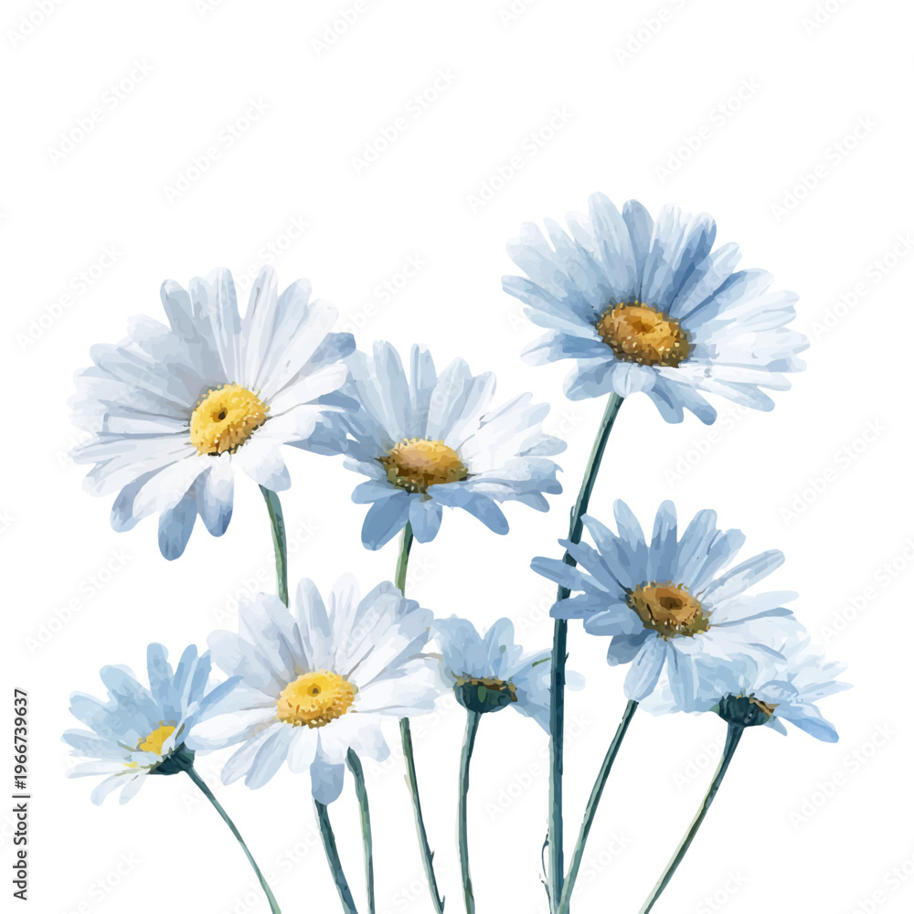 Fototapeta premium Watercolor painting depicting a cluster of elegant daisies with pale blue white petals and bright yellow centers, embodying floral softness and spring serenity