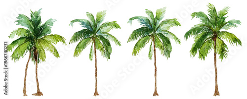 Hand painted watercolor palm trees creating a tropical summer holiday theme, perfect for beach designs, exotic travel, nature, and island style illustrations