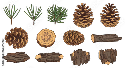 Pine Tree Elements: Pinecones, Needles, Bark, and Wood Slice Isolated