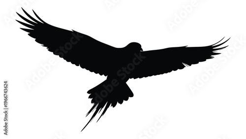 A striking black silhouette of a bird in flight with wings fully extended showcasing a dynamic and powerful pose silhouette