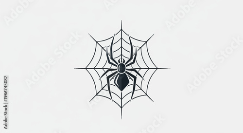 A dark spider is depicted on a white spiderweb