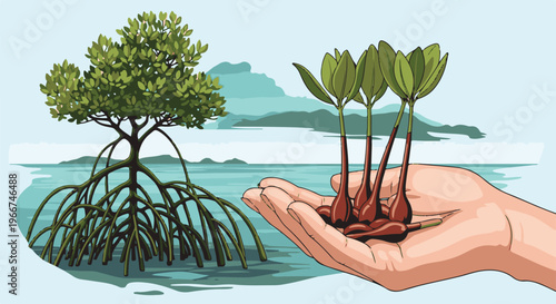 Hand holds mangrove seedlings next to mature tree in water