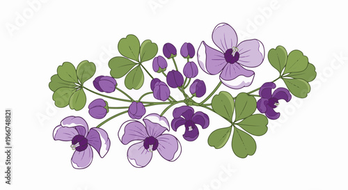 Delicate purple flowers and buds with green clover-like leaves