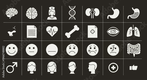 Medical Icons Set: Brain, DNA, Kidneys, Stomach, Lungs, Eyes, Bones, Heartbeat