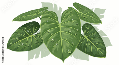 Lush green tropical leaves adorned with shimmering water droplets