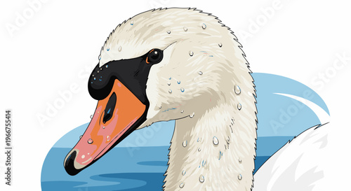 Elegant swan with dew drops on white feathers in blue water